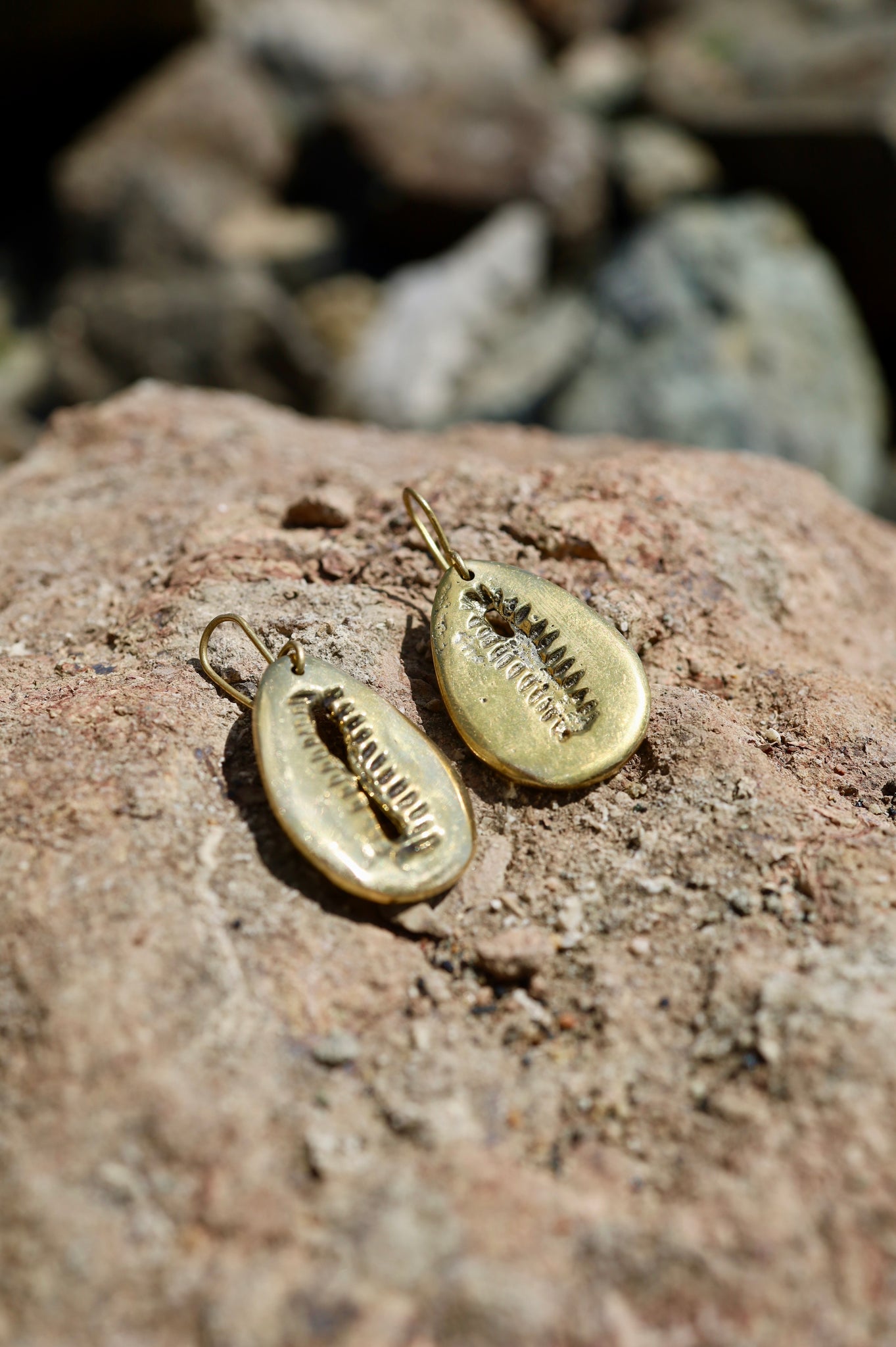 Brass Cowrie Drop Earring