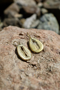 Brass Cowrie Drop Earring