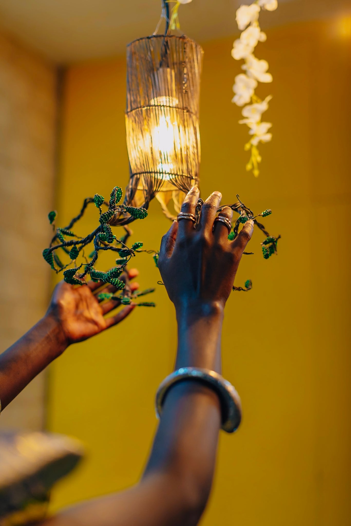 Katalogi Kenya odAOMO