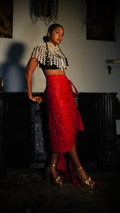 Ruby Embellished Shawl Skirt